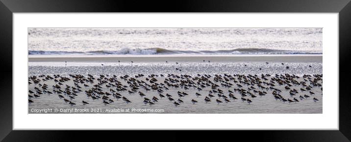 Flock at Water's Edge Framed Mounted Print by Darryl Brooks