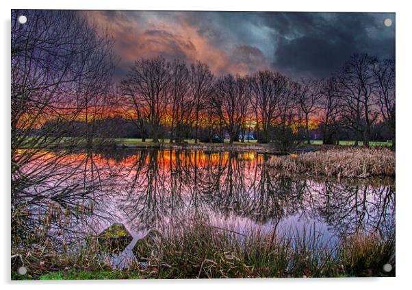 Dramatic Sky at Yateley Green Pond Acrylic by Dave Williams