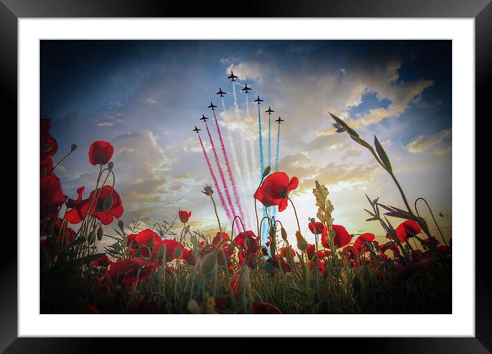 Red Arrows Poppy Fly Over Framed Mounted Print by J Biggadike