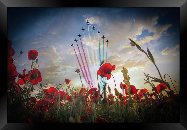 Red Arrows Poppy Fly Over Framed Print by J Biggadike