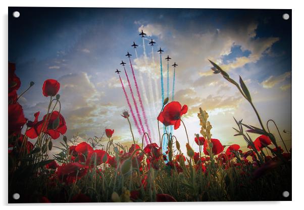 Red Arrows Poppy Fly Over Acrylic by J Biggadike