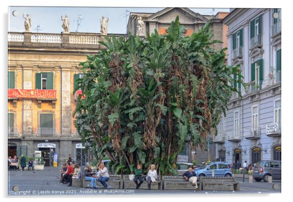 Banana palm - Napoli Acrylic by Laszlo Konya