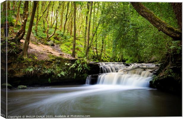 Goit Stock waterfalls Bingley Harden Harden beck  Canvas Print by PHILIP CHALK