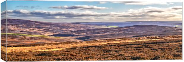North York Moors from Percy Cross Rigg Canvas Print by Martin Davis