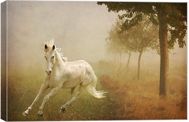 In the Mist Canvas Print by Irene Burdell