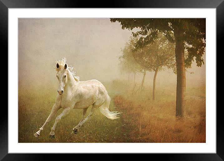 In the Mist Framed Mounted Print by Irene Burdell