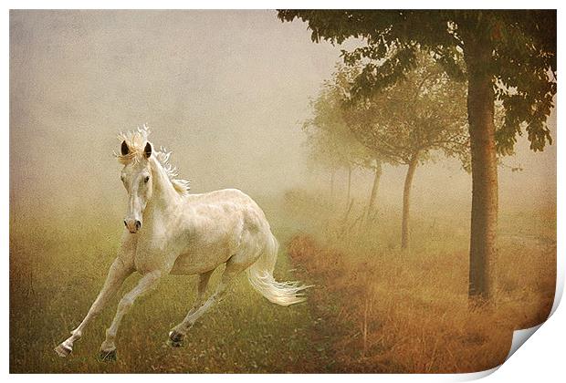 In the Mist Print by Irene Burdell