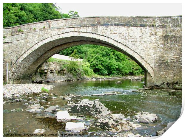 Bridge over the River Ure in the Yorkshire Dales Print by Terry Senior