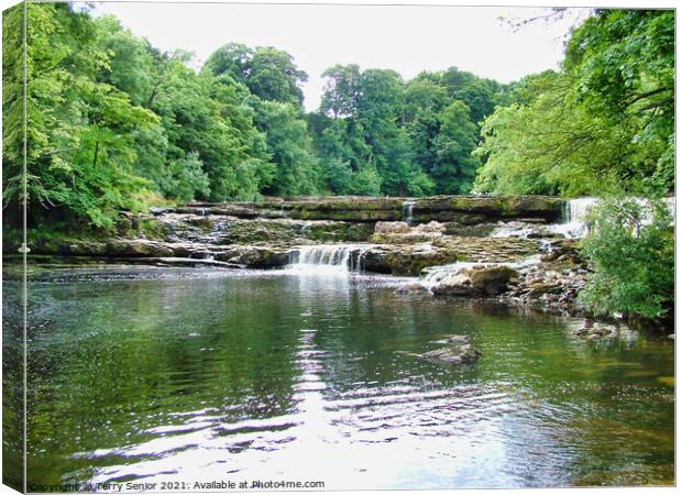 Waterfalls at Aysgarth on the River Ure in the Yor Canvas Print by Terry Senior