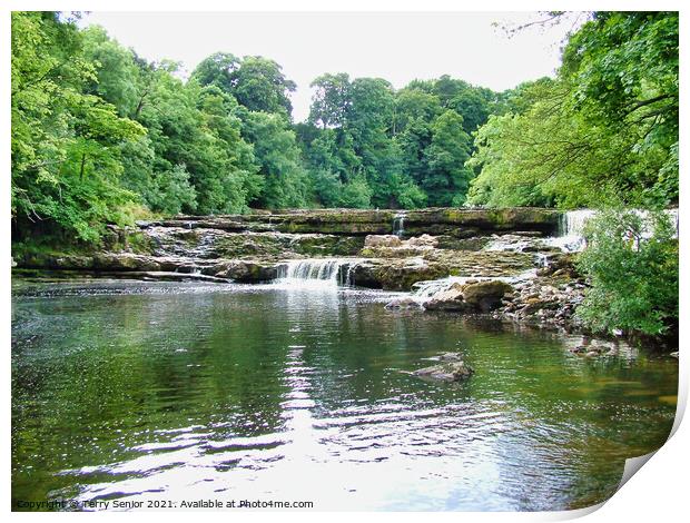 Waterfalls at Aysgarth on the River Ure in the Yor Print by Terry Senior