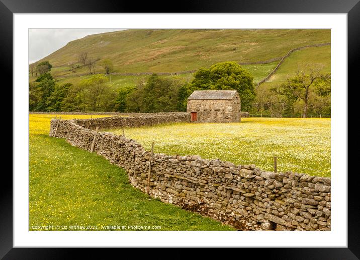Swaledale Meadow Framed Mounted Print by Liz Withey