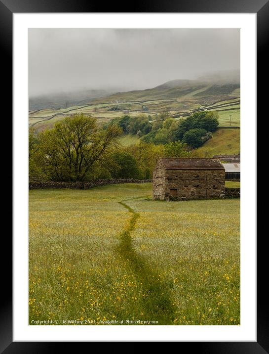 Rainy Meadow Framed Mounted Print by Liz Withey