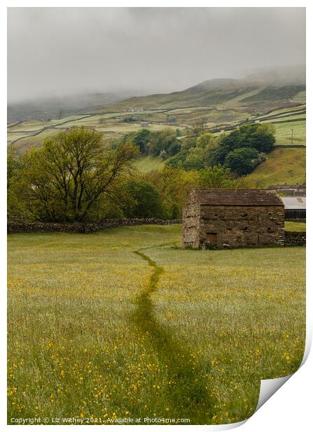 Rainy Meadow Print by Liz Withey