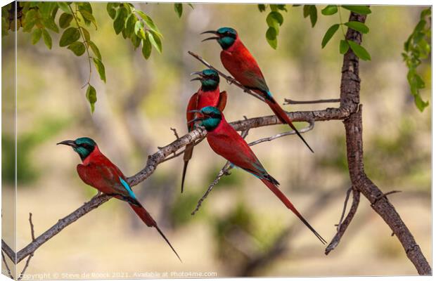 Group of colourful bee eaters on a tree Canvas Print by Steve de Roeck