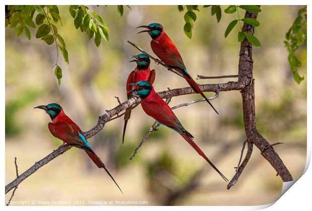 Group of colourful bee eaters on a tree Print by Steve de Roeck