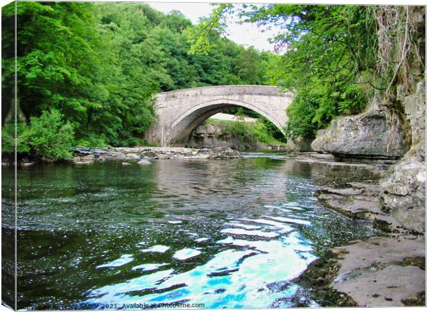 Looking towards the Bridge at Aysgarth on the Rive Canvas Print by Terry Senior