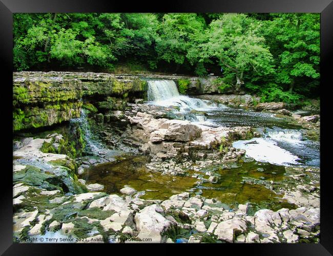 A rocky River Ure at Aysgarth Falls in the Yorkshi Framed Print by Terry Senior