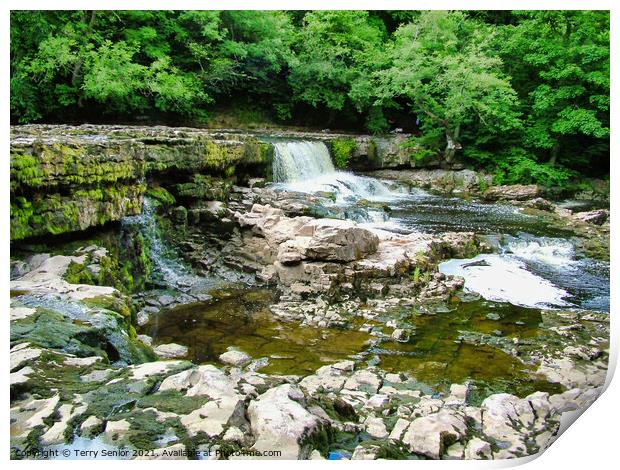 A rocky River Ure at Aysgarth Falls in the Yorkshi Print by Terry Senior