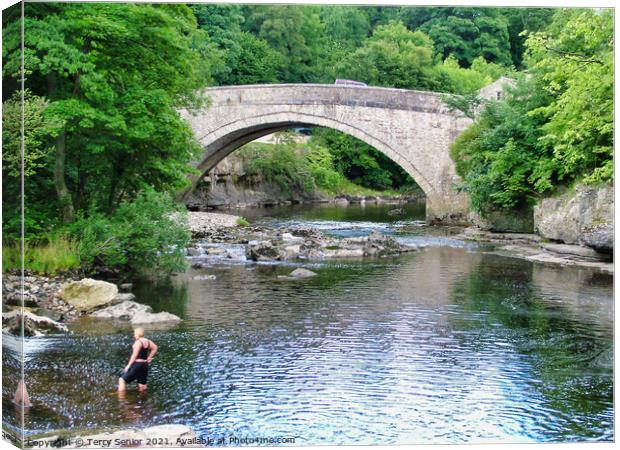Bathing in the River Ure at Aysgarth Falls in the  Canvas Print by Terry Senior