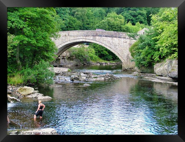 Bathing in the River Ure at Aysgarth Falls in the  Framed Print by Terry Senior