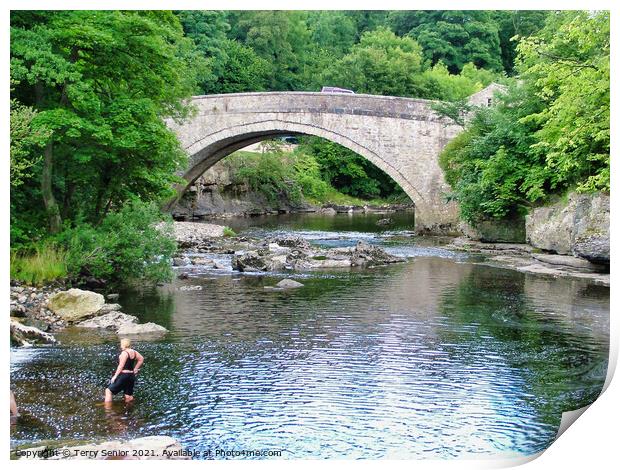 Bathing in the River Ure at Aysgarth Falls in the  Print by Terry Senior