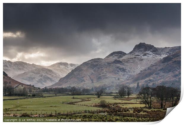 Langdale Pikes Print by Liz Withey