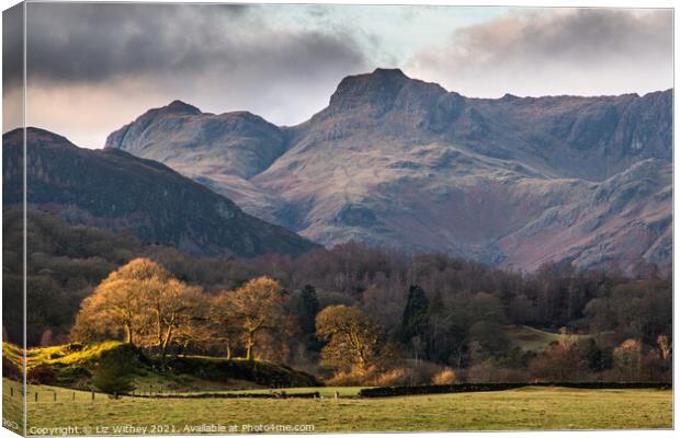 Langdale Canvas Print by Liz Withey