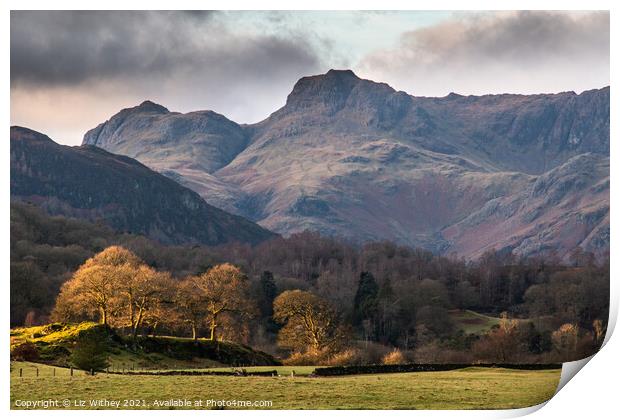 Langdale Print by Liz Withey