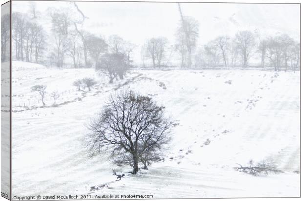 A bleak winter day Canvas Print by David McCulloch
