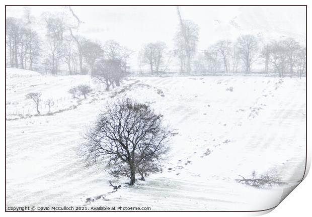 A bleak winter day Print by David McCulloch