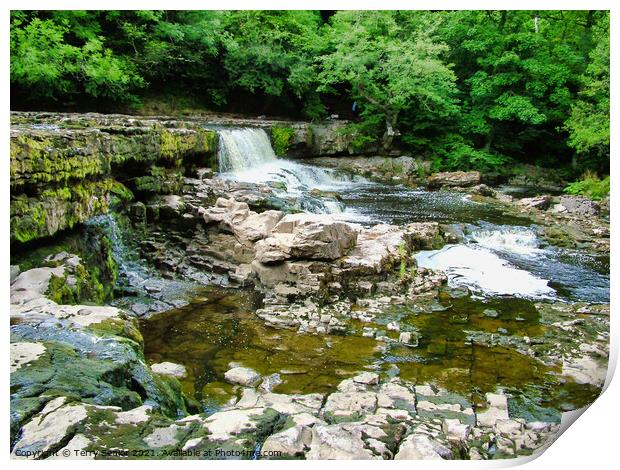 The start of Aysgarth Falls in the Yorkshire Dales Print by Terry Senior