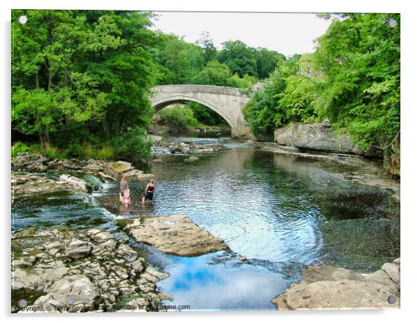 Bathers in the River Ure at Aysgarth Falls in the  Acrylic by Terry Senior