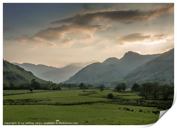Evening in Langdale Print by Liz Withey