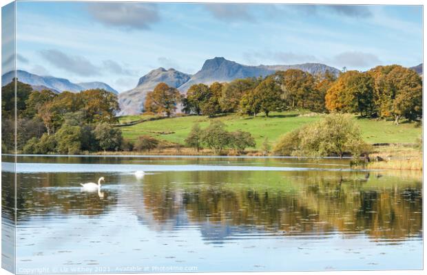 Langdale Pikes and Loughrigg Canvas Print by Liz Withey