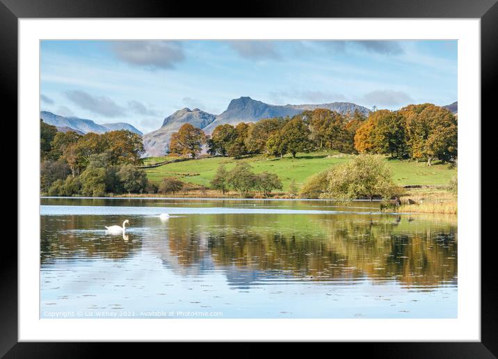 Langdale Pikes and Loughrigg Framed Mounted Print by Liz Withey