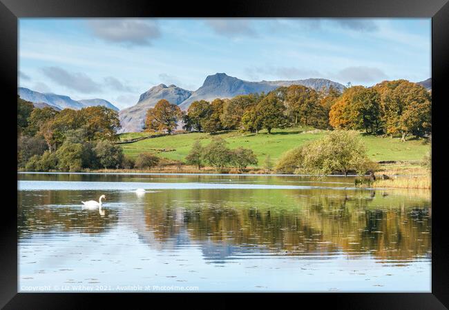 Langdale Pikes and Loughrigg Framed Print by Liz Withey