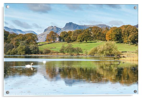 Langdale Pikes and Loughrigg Acrylic by Liz Withey