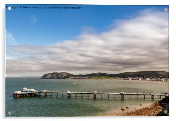 Llandudno Pier Wales Acrylic by Adrian Evans