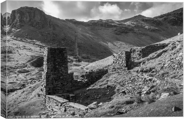 Launder Tower, Coniston Coppermines Canvas Print by Liz Withey