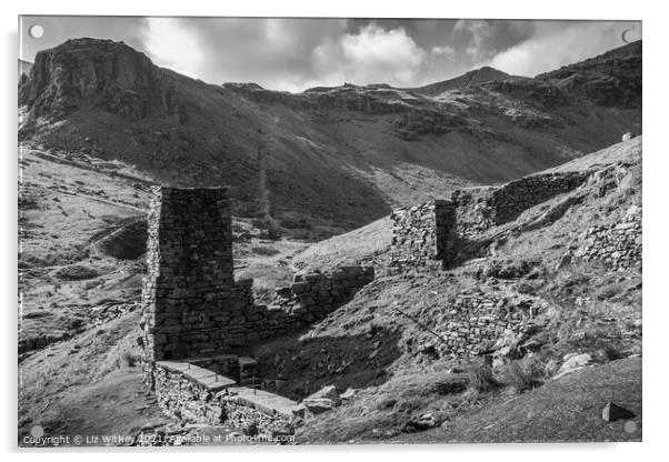 Launder Tower, Coniston Coppermines Acrylic by Liz Withey