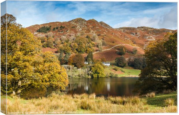 Loughrigg Fell and Tarn Canvas Print by Liz Withey