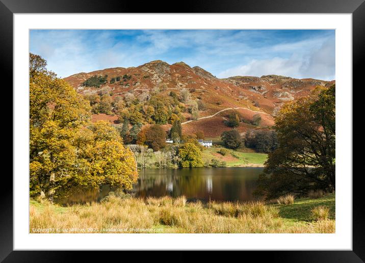 Loughrigg Fell and Tarn Framed Mounted Print by Liz Withey