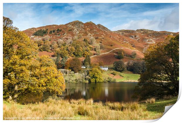 Loughrigg Fell and Tarn Print by Liz Withey