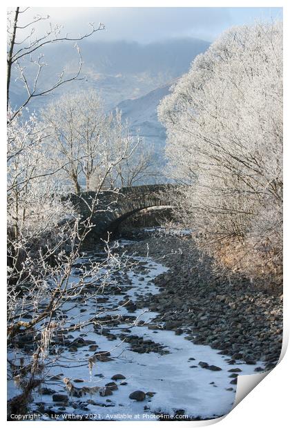 Middlefell Bridge in Winter Print by Liz Withey