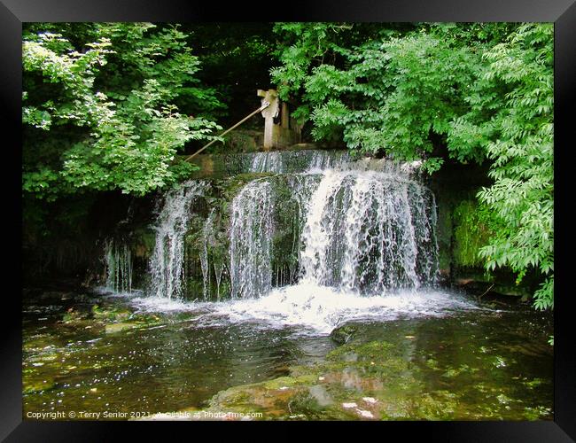 Exploring more of the waterfalls at Aysgarth in th Framed Print by Terry Senior