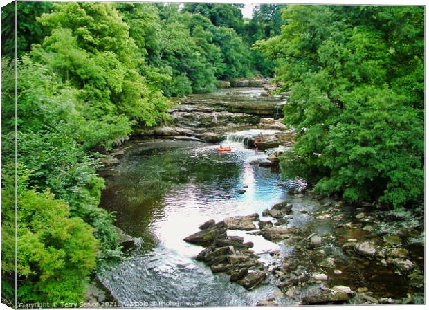 View from the Bridge at Aysgarth Falls in Yorkshir Canvas Print by Terry Senior