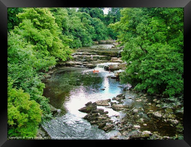 View from the Bridge at Aysgarth Falls in Yorkshir Framed Print by Terry Senior