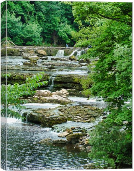 Waterfalls in the Woods at Aysgarth in the Yorkshi Canvas Print by Terry Senior