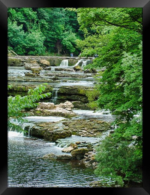 Waterfalls in the Woods at Aysgarth in the Yorkshi Framed Print by Terry Senior