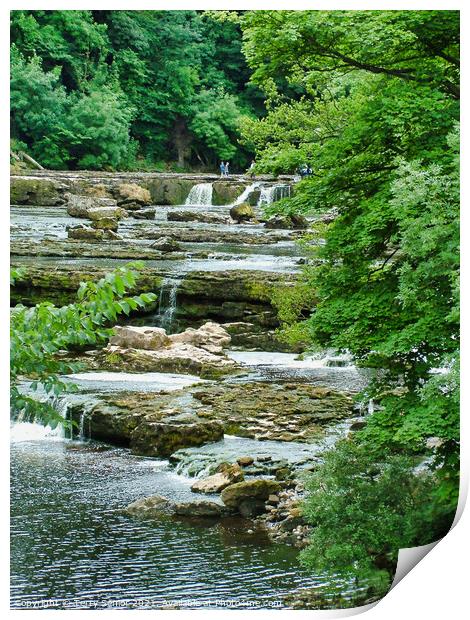 Waterfalls in the Woods at Aysgarth in the Yorkshi Print by Terry Senior
